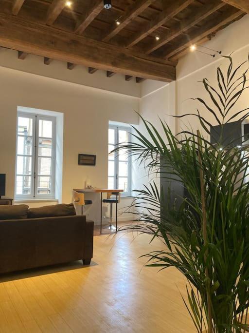 Appartement Centre Historique Albi Eksteriør bilde